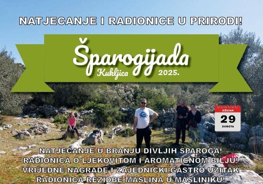 sparogijada-kukljica-2025-natjecanje-branje-sparoga